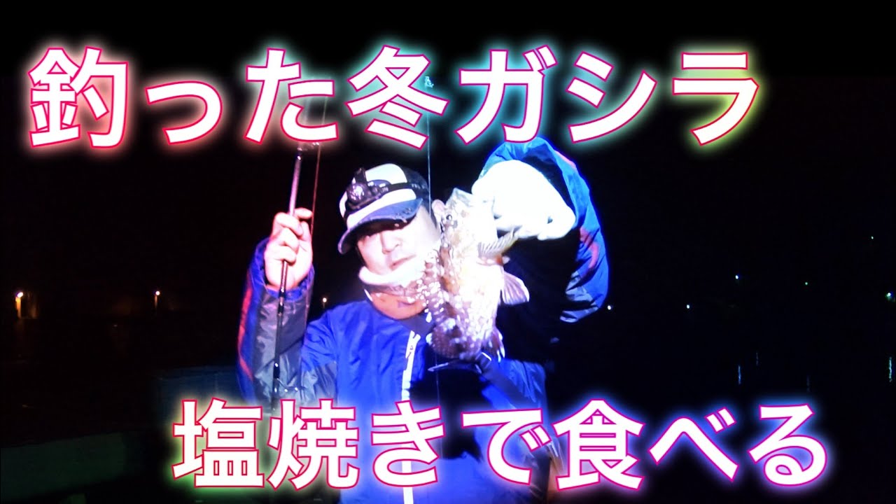 記録13 尾鷲釣り ガシラ塩焼き Youtube