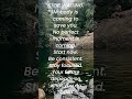 #explorepage #viral #viral #trending #success