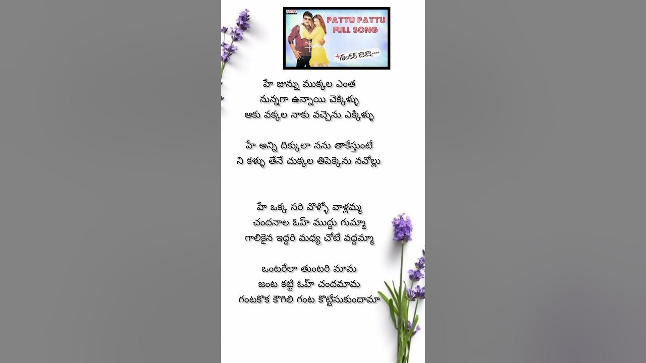 Shankar Dada M.B.B.S || Pattu Pattu Video Song || Chiranjeevi || Sonali Bendre || Devi Sri Prasad