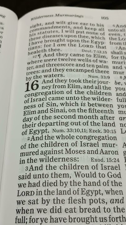 bible-reading-exodus-chapter-16-verse-1-2-youtube