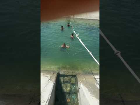 أحلى سباحة في الروائي
