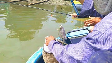 Lần Đầu Đi Câu Cá Dìa Sông - GẶP TOÀN HÀNG KHỦNG | First Time Going Fishing River