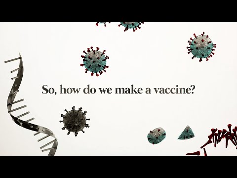 The race for a COVID-19 vaccine, explained