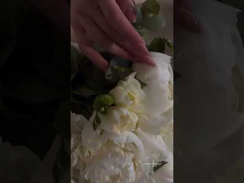 مشغول وحياتك العندليب الأسمر عبدالحليم حافظ