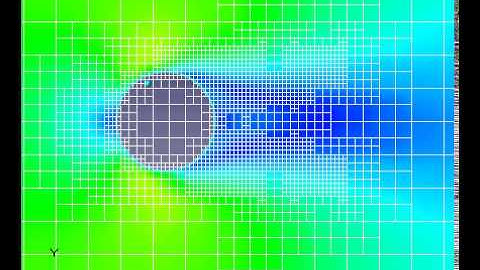 FlowVision CFD - Hız Değişimine Göre Adaptasyon