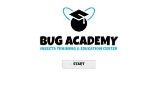 Bug Academy gameplay
