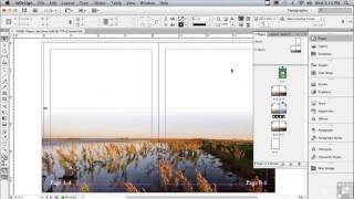 Indesign CS6   0308 Pages The Problem Solving Of Sections