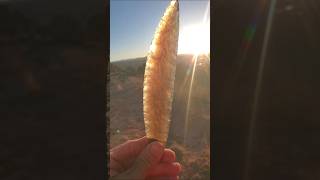 8" Feather Blade (rainbow obsidian) #flintknapping #nativeamericanart #crystals #art