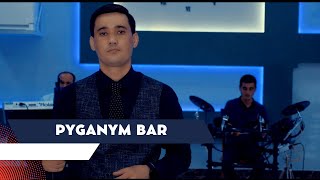 Kuwwat Caryyew - Pyganym Bar ( Turkmen Halk aydymlary 2023 ) Janly Sesim