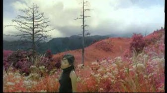 周蕙 Where Chou - 預言 (官方版MV)