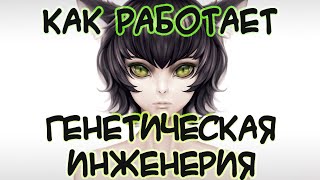 Как работает генетическая инженерия.