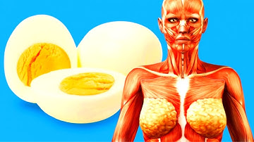 What Happens to Your Body When You Start Eating 2 Eggs a Day