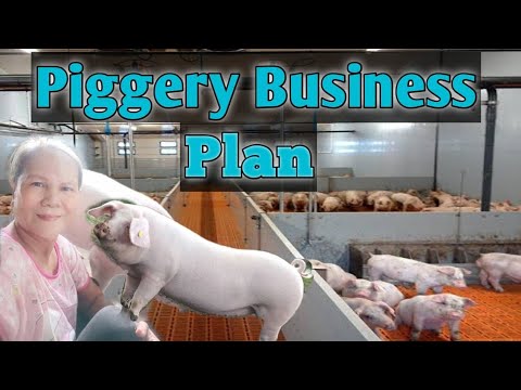 backyard piggery business plan
