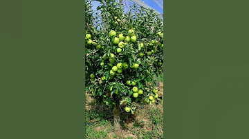 نسالك يا ارحم الراحمين فرح هم المهمومين امين يا رب العالمين مدينتي Nature اكسبلور تفاح ميدلت 