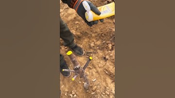 cherry 🍒 pruning #satisfying #farming #pruning #shorts