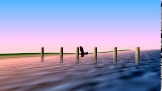 Wallace Bird Flight animation