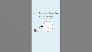 How Does a DNA Library Attach to a Flow Cell? This Tiny Lock Is the Answer.