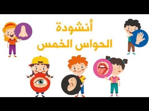 الحواس الخمس بدون موسيقى
