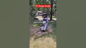 I rented this stump grinder for $150 it took 15 mins to grind #stump #stumpgrinding #treework #diy