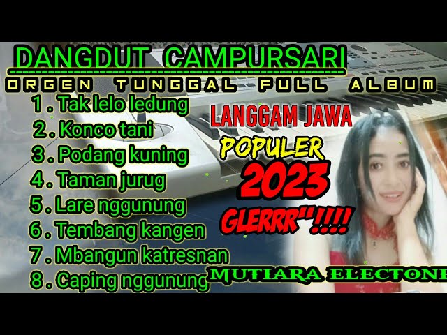 DANGDUT CAMPURSARI LANGGAM JAWA POPULER 2023 VERSI DANGDUT ORGEN  TUNGGAL class=