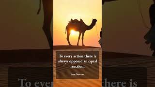 Tech Leaders Wisdom: Isaac Newton's Action-Reaction Principle