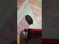 Roly polies Sumatra Pill Bugs Sumatra