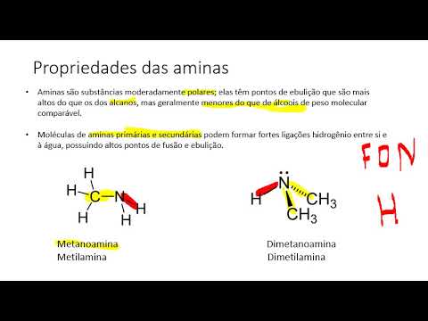 Vídeo: Diferença Entre Cianeto E Nitrilo