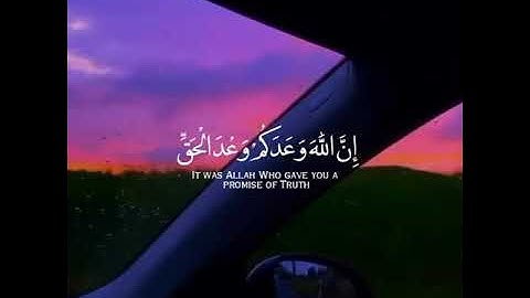 حالات واتس اب تلاوة خاشعة🎧 القارئ طارق محمد💛