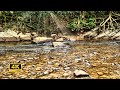 Soothing river water sounds 4k relaxing nature calm water sounds 25 hrs white noise
