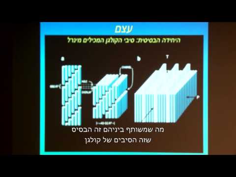 ביומינרליזציה - טכנולוגיות עתידניות בנות מאות מיליוני שנים