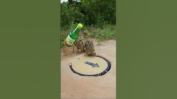 Bird trap using old tool easy - quail trap #shorts #shortvideo #youtubeshorts