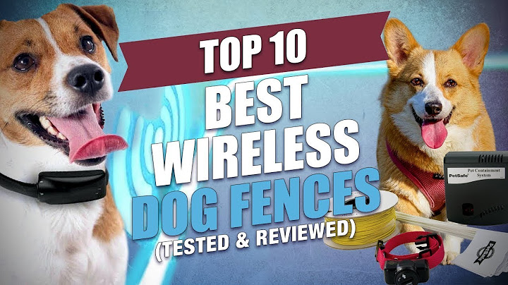 Best wireless dog fence for multiple dogs