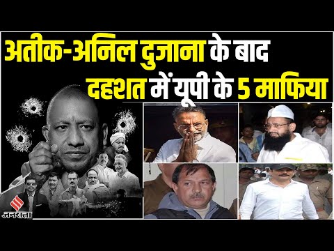 Anil Dujana Encounter के बाद UP STF के निशाने पर हैं ये 5 माफिया, टेढ़ी हुई CM Yogi की नजर