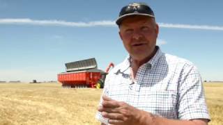 Mother Bins Increase Harvest Efficiency