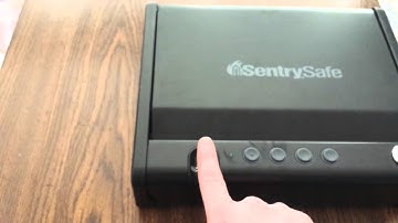 SentrySafe Biometric Quick Access Pistol Safe