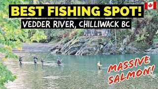 172🇨🇦 Best fishing spots in Vedder River | Most popular fishing spots in Chilliwack