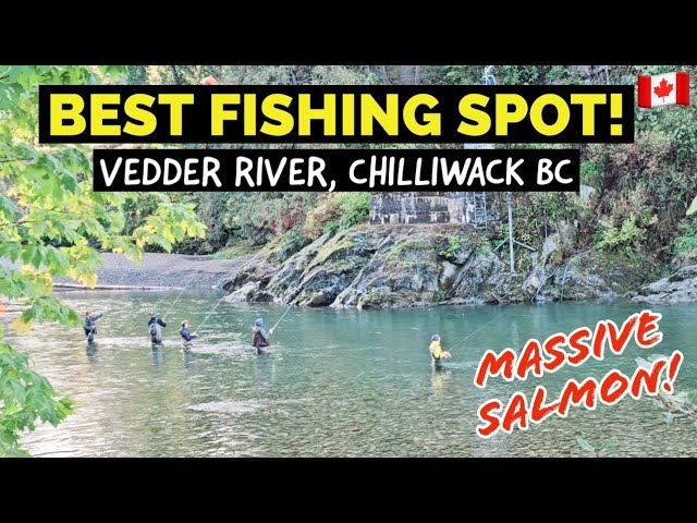 172🇨🇦 Best fishing spots in Vedder River | Most popular fishing spots in Chilliwack class=