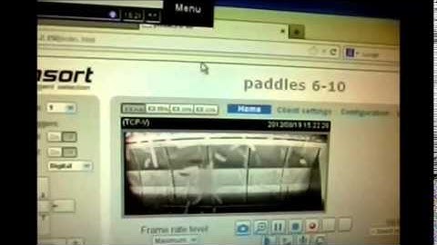 Insort Sherlock Observer 2000 - Fries