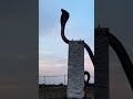 গাঁ শিউরে উঠার মতো দৃশ্য