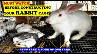 The Biggest Mistakes in Rabbit Farming: Don't Build Your Cage Until You Watch This! #Ghana #youtube