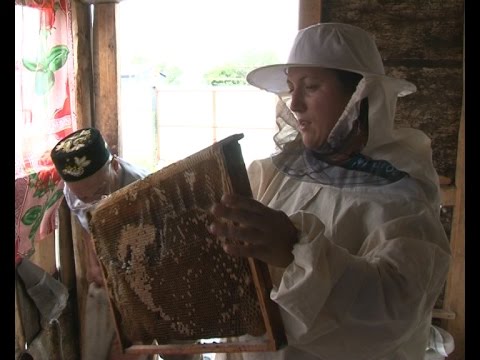 Пчеловод Лейсан