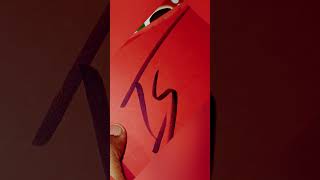 Ishi #shorts #artshorts #calligraphy