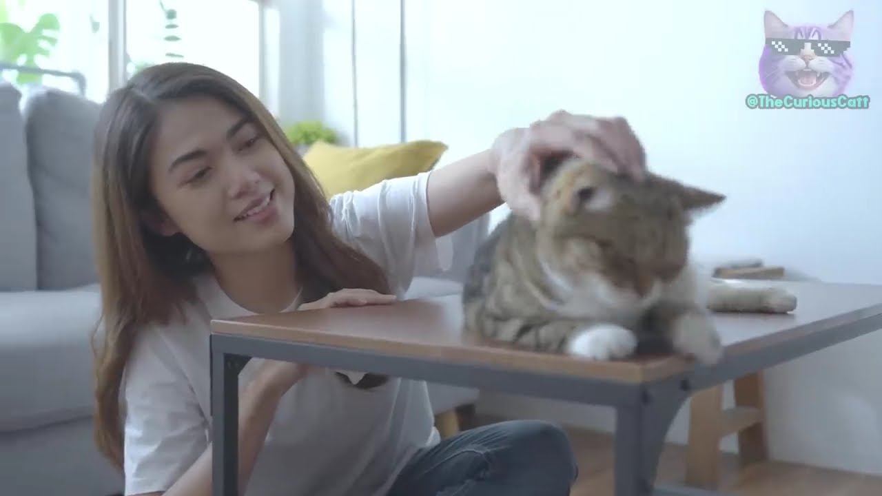YouTube video image 1