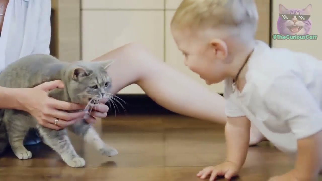 YouTube video image 3