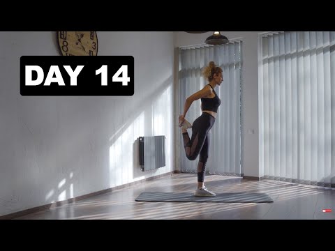 მოტივაცია - დღე 14