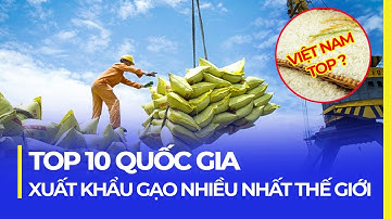 TOP 10 NƯỚC XUẤT KHẨU GẠO THẾ GIỚI | VIỆT NAM Ở VỊ TRÍ BẤT NGỜ