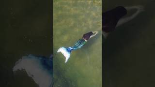 Drone Captures Footage of Real Mermaid Swimming in the Lake #realmermaid #mermaidsighting #imadethis