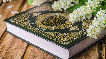 القرآن الكريم - سورة الحج - الشيخ ياسر سلامة