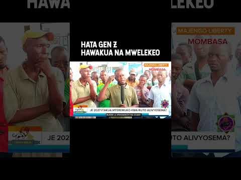 Hata Gen Z Hawakua Na Mwelekeo Fyyyyyy Duet Africanmountain Fyyyyyy Tanzania Maandamano