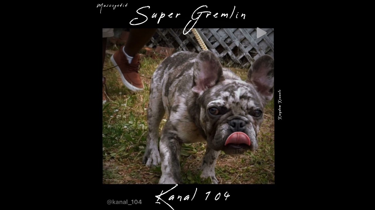 Watch Kanal 104 Super Gremlin on YouTube Watch Kanal 104 Super Gremlin on YouTube
